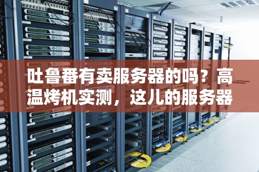 吐鲁番有卖服务器的吗？高温烤机实测，这儿的服务器怕不是“葡萄干”牌？