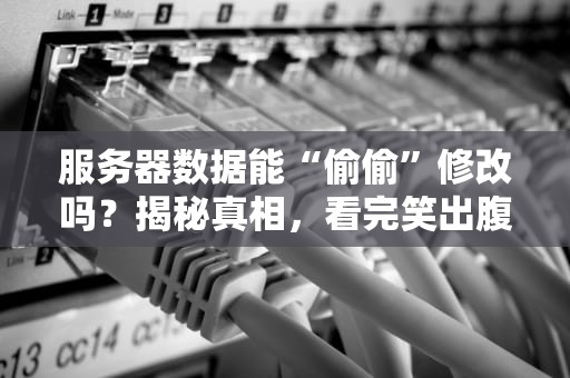 服务器数据能“偷偷”修改吗？揭秘真相，看完笑出腹肌！