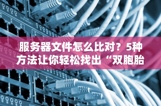 服务器文件怎么比对？5种方法让你轻松找出“双胞胎”中的不同！