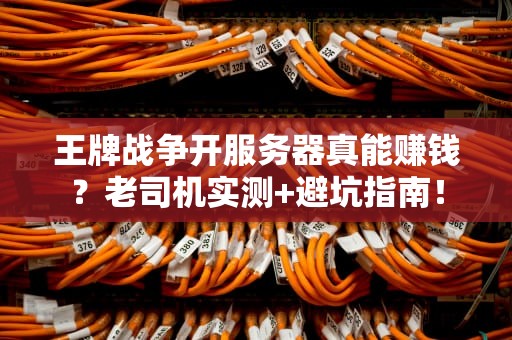 王牌战争开服务器真能赚钱？老司机实测+避坑指南！