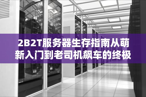2B2T服务器生存指南从萌新入门到老司机飙车的终极攻略