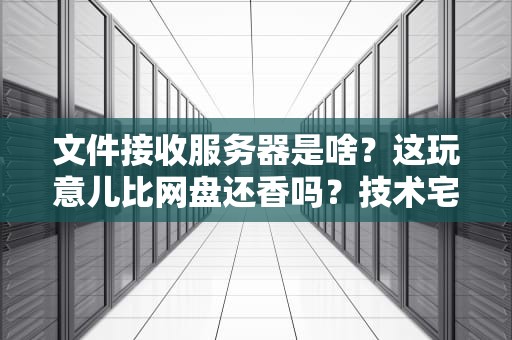 文件接收服务器是啥？这玩意儿比网盘还香吗？技术宅带你扒光它的底裤！