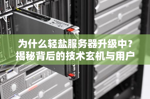 为什么轻盐服务器升级中？揭秘背后的技术玄机与用户体验优化！