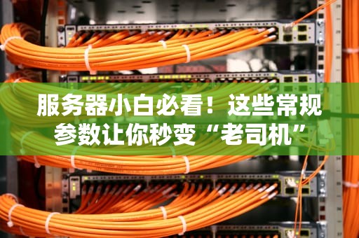 服务器小白必看！这些常规参数让你秒变“老司机”