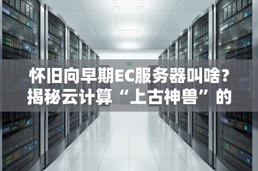 怀旧向早期EC服务器叫啥？揭秘云计算“上古神兽”的搞笑代号