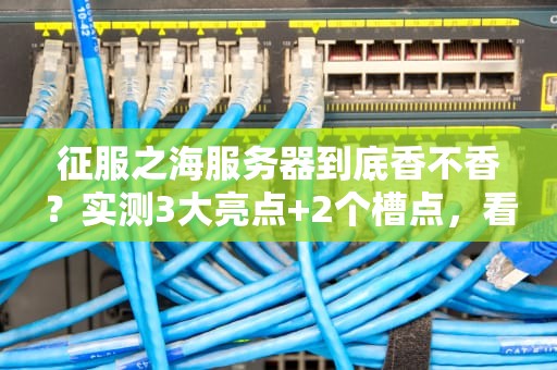 征服之海服务器到底香不香？实测3大亮点+2个槽点，看完再剁手！