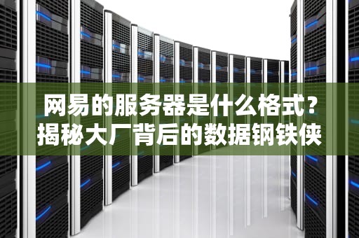 网易的服务器是什么格式？揭秘大厂背后的数据钢铁侠！