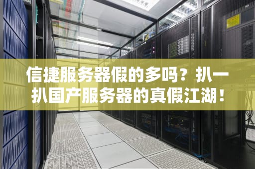 信捷服务器假的多吗？扒一扒国产服务器的真假江湖！