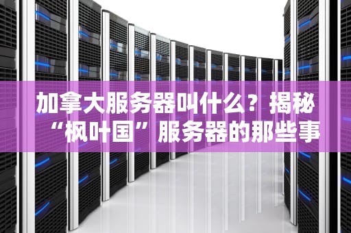 加拿大服务器叫什么？揭秘“枫叶国”服务器的那些事儿！