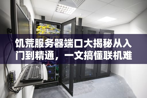 饥荒服务器端口大揭秘从入门到精通，一文搞懂联机难题！