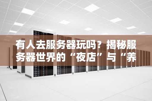 有人去服务器玩吗？揭秘服务器世界的“夜店”与“养老院”