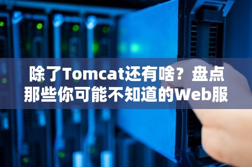 除了Tomcat还有啥？盘点那些你可能不知道的Web服务器“狠角色”