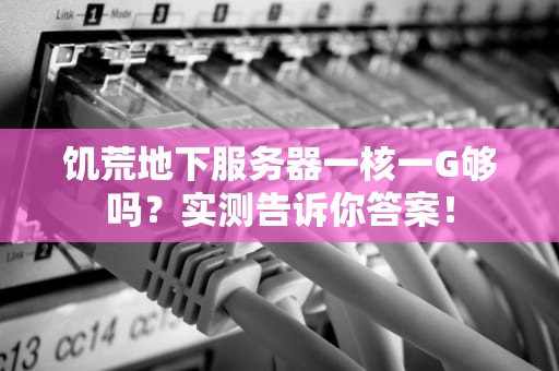 饥荒地下服务器一核一G够吗？实测告诉你答案！