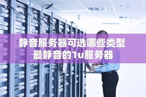 静音服务器可选哪些类型 最静音的1u服务器