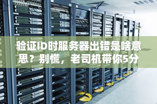 验证ID时服务器出错是啥意思？别慌，老司机带你5分钟看懂并搞定！