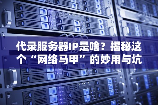 代录服务器IP是啥？揭秘这个“网络马甲”的妙用与坑！