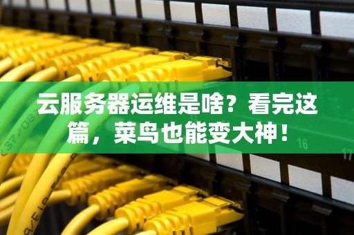 云服务器运维是啥？看完这篇，菜鸟也能变大神！