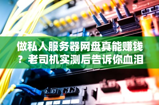 做私人服务器网盘真能赚钱？老司机实测后告诉你血泪真相！