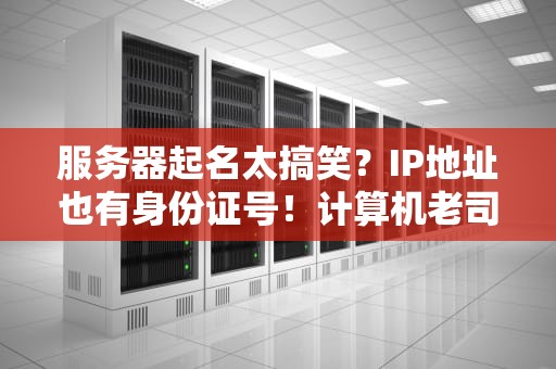 服务器起名太搞笑？IP地址也有身份证号！计算机老司机带你揭秘