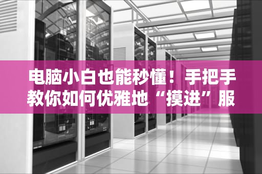 电脑小白也能秒懂！手把手教你如何优雅地“摸进”服务器页面