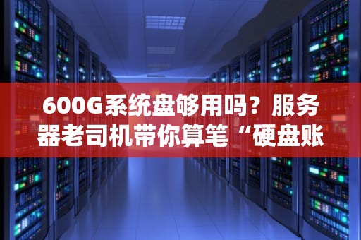 600G系统盘够用吗？服务器老司机带你算笔“硬盘账”！