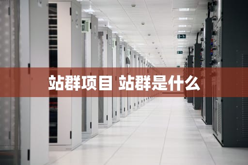 站群项目 站群是什么