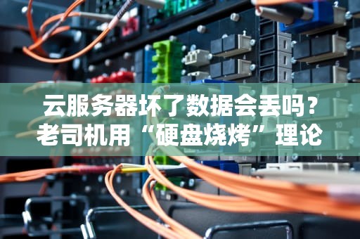 云服务器坏了数据会丢吗？老司机用“硬盘烧烤”理论给你讲透！