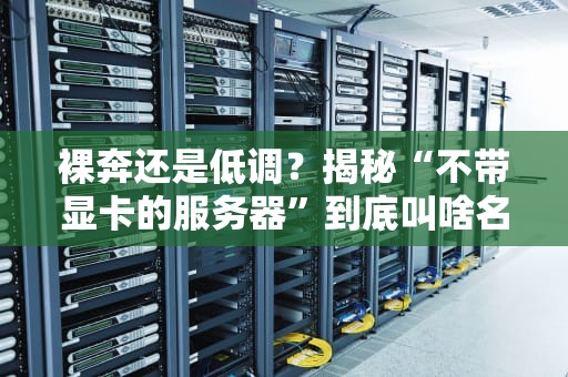 裸奔还是低调？揭秘“不带显卡的服务器”到底叫啥名堂！