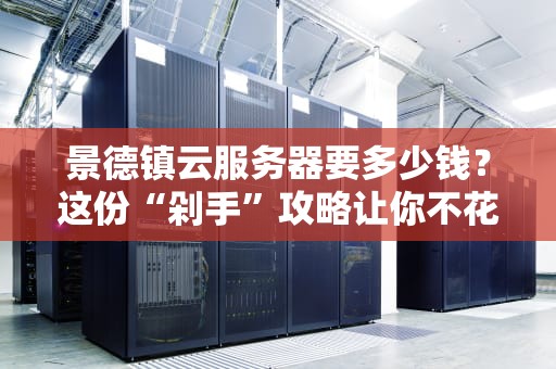 景德镇云服务器要多少钱？这份“剁手”攻略让你不花冤枉钱！