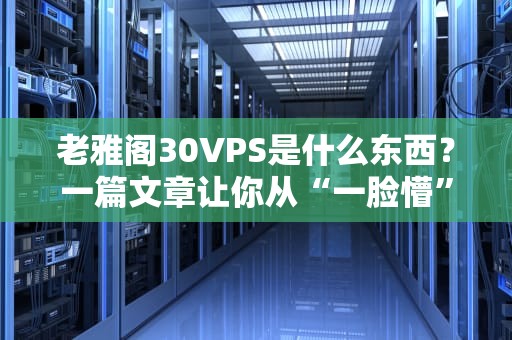 老雅阁30VPS是什么东西？一篇文章让你从“一脸懵”到“真香”！