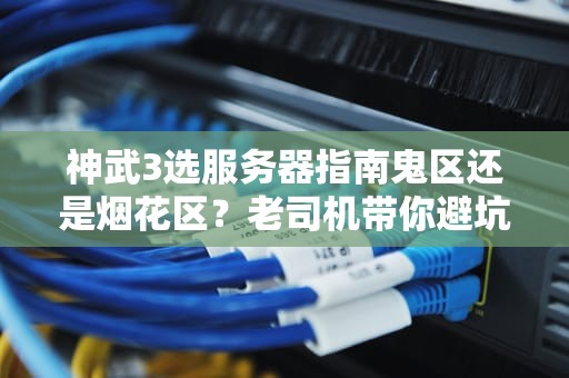 神武3选服务器指南鬼区还是烟花区？老司机带你避坑！
