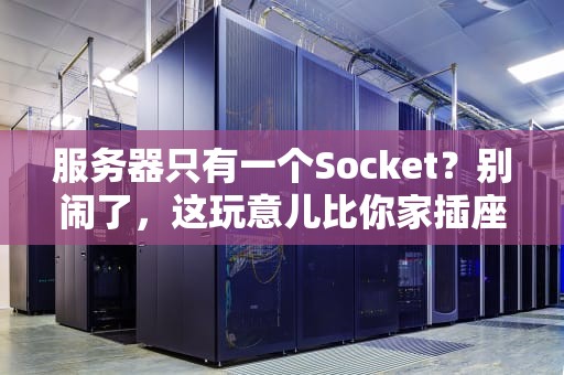 服务器只有一个Socket？别闹了，这玩意儿比你家插座复杂多了！
