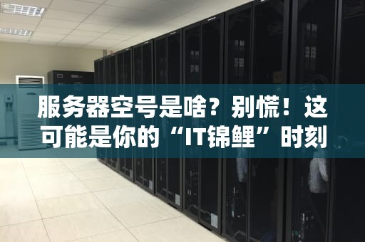 服务器空号是啥？别慌！这可能是你的“IT锦鲤”时刻！