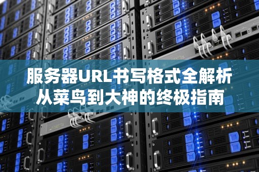 服务器URL书写格式全解析从菜鸟到大神的终极指南