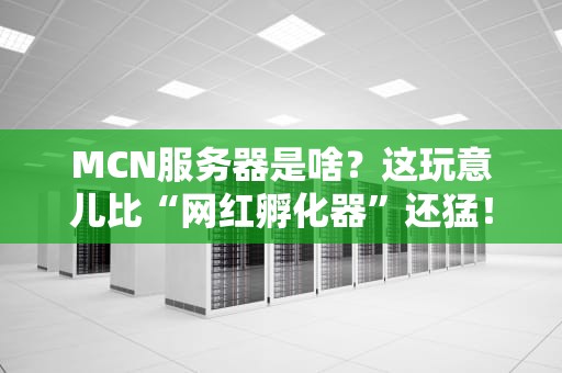 MCN服务器是啥？这玩意儿比“网红孵化器”还猛！