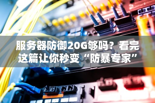 服务器防御20G够吗？看完这篇让你秒变“防暴专家”！