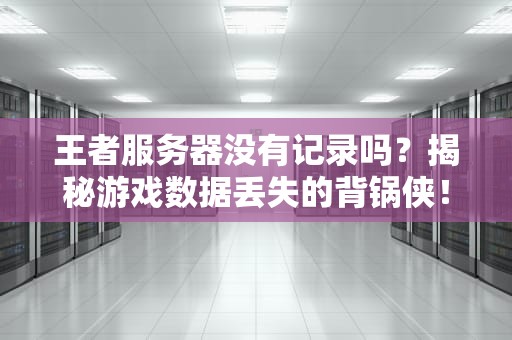 王者服务器没有记录吗？揭秘游戏数据丢失的背锅侠！