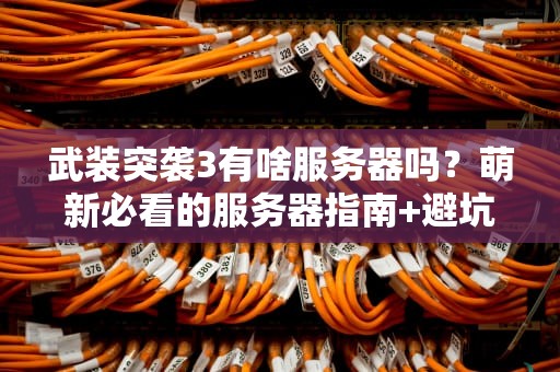 武装突袭3有啥服务器吗？萌新必看的服务器指南+避坑攻略！