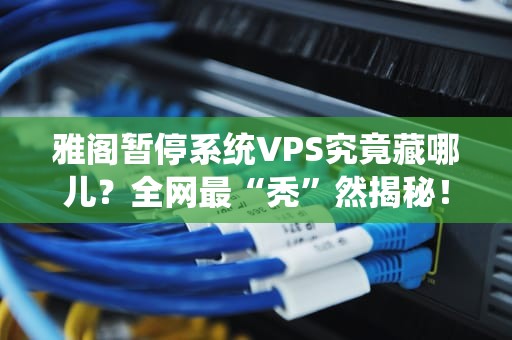 雅阁暂停系统VPS究竟藏哪儿？全网最“秃”然揭秘！