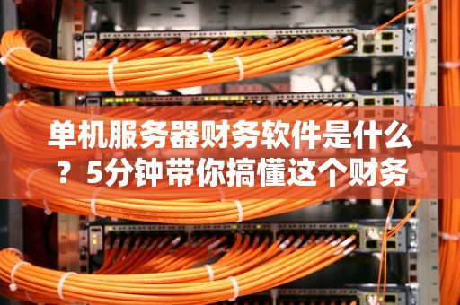 单机服务器财务软件是什么？5分钟带你搞懂这个财务小管家！