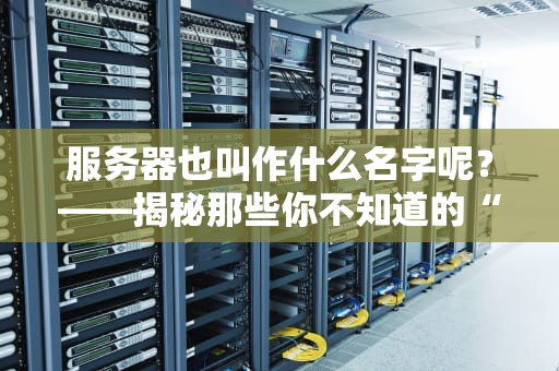 服务器也叫作什么名字呢？——揭秘那些你不知道的“服务器外号”
