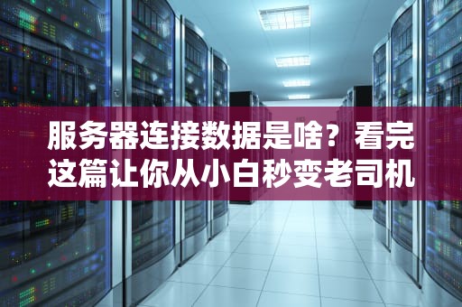 服务器连接数据是啥？看完这篇让你从小白秒变老司机！
