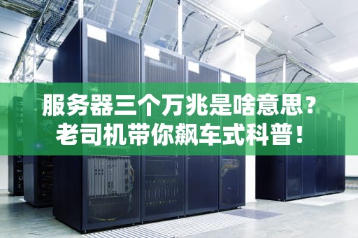 服务器三个万兆是啥意思？老司机带你飙车式科普！