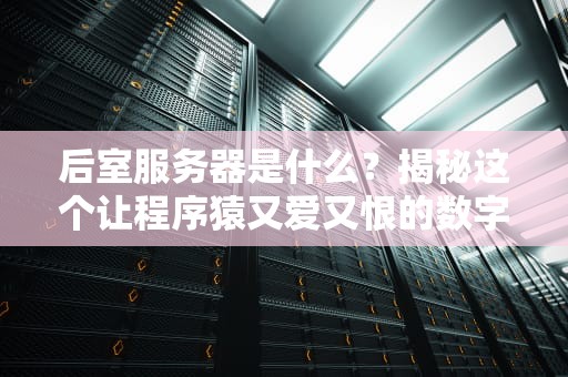 后室服务器是什么？揭秘这个让程序猿又爱又恨的数字小黑屋