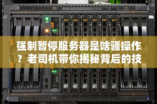 强制暂停服务器是啥骚操作？老司机带你揭秘背后的技术玄机！