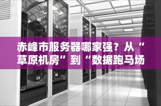 赤峰市服务器哪家强？从“草原机房”到“数据跑马场”的硬核测评！