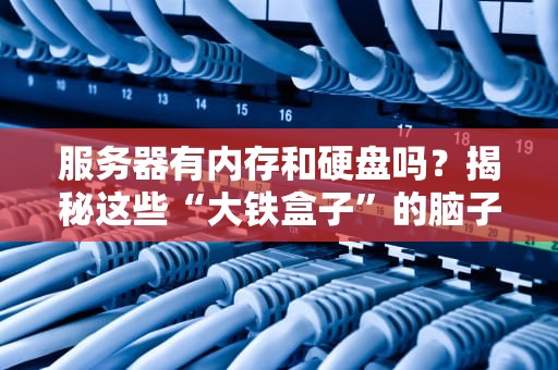 服务器有内存和硬盘吗？揭秘这些“大铁盒子”的脑子和肚子！
