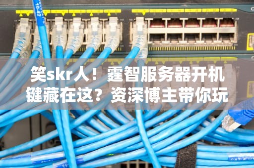 笑skr人！霆智服务器开机键藏在这？资深博主带你玩转硬核科技