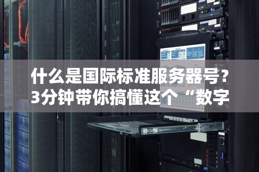 什么是国际标准服务器号？3分钟带你搞懂这个“数字身份证”的奥秘！