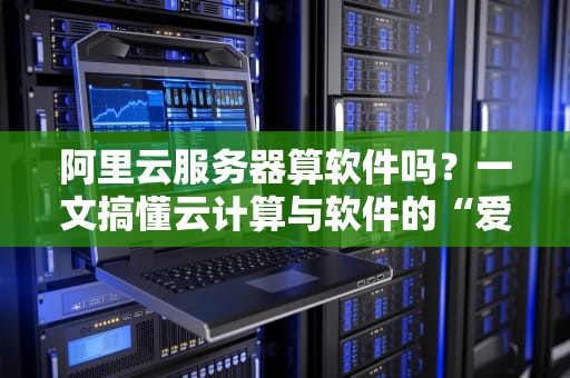 阿里云服务器算软件吗？一文搞懂云计算与软件的“爱恨情仇”